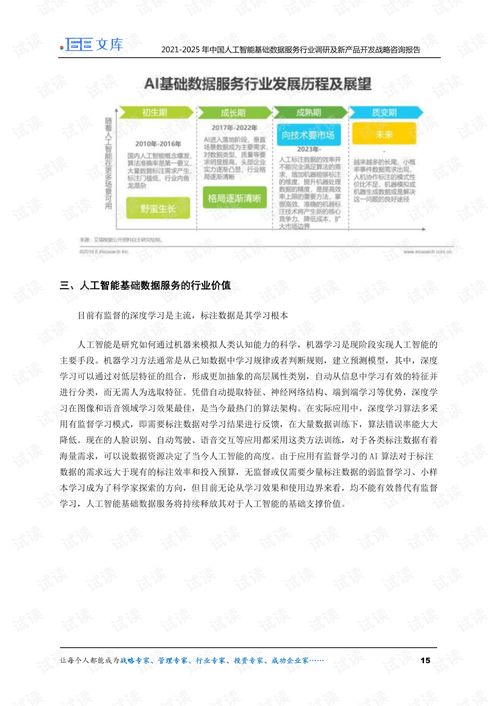 2021-2025年中國人工智能基礎數據服務行業調研及新產品開發戰略咨詢